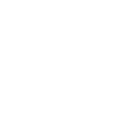 ticket icon